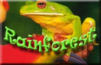 Daintree Rainforest