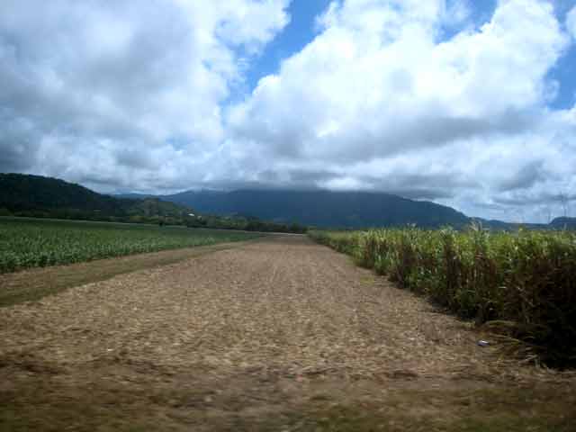 4401-SugarCaneFields-071028-140p
