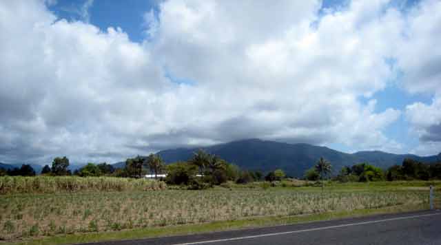 4403-SugarCane-071028-143p