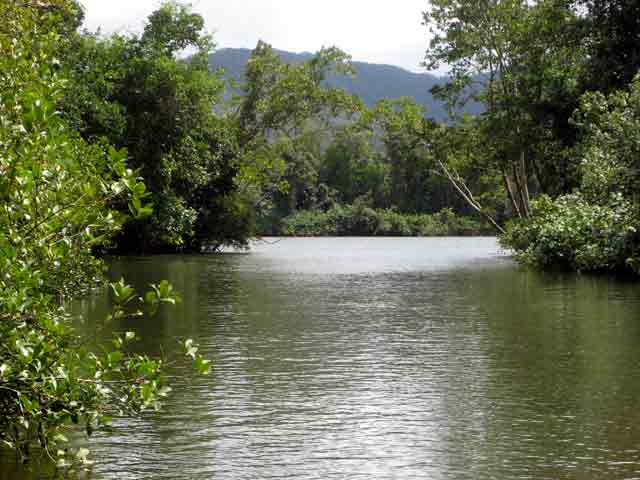 4584-River-071030-1003a