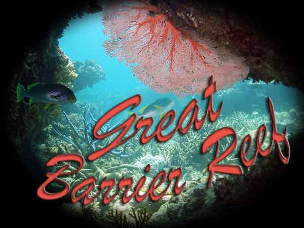 Reef-Text-600