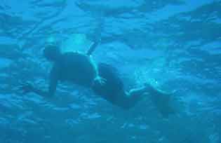 290052-Snorkelers-071029-1229p