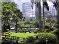 Click here for pictures of Charter Garden.