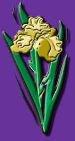 Click here for pictures of the Embroidery Research Institute.