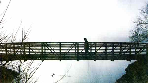 Bridge-PaulZoeller-s-OA-020102