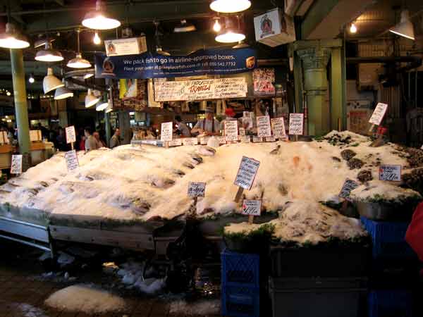 1038-FishDisplay-070922-432p